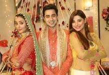 A new twist in Shalu and Vishesh’s love story by Roshni in Dangal TV’s “Ranju Ki Betiyaan”