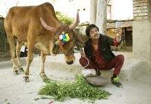 Sanjay Mishra and Nawazuddin Siddiqui starrer film Holy Cow will release on 26th August 2022