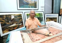 Wildlife Photography in the Age of AI: Prakash Desai’s Journey of Patience, Purity and Passion